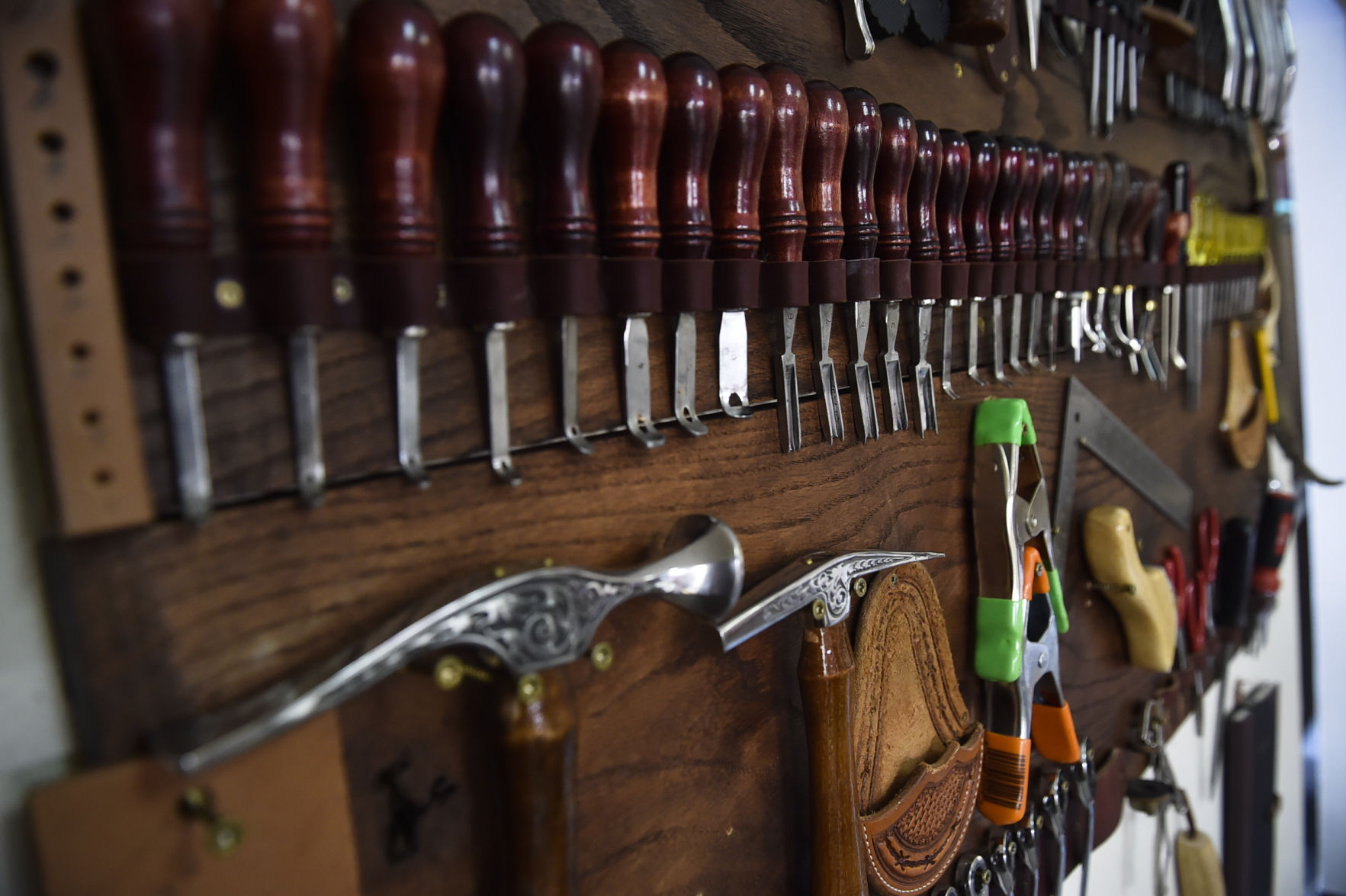 Sting Saddlery
